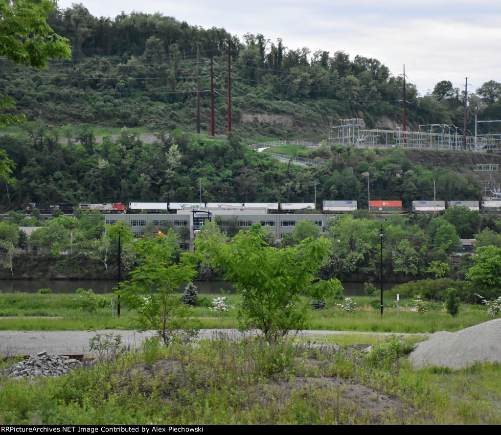 NS 8142